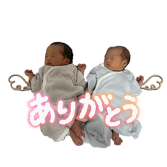 Shimu_20251113200346