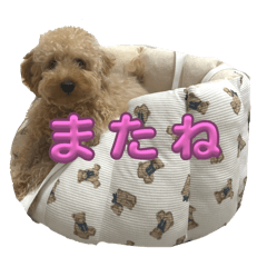 NATSUMI_20251114064855