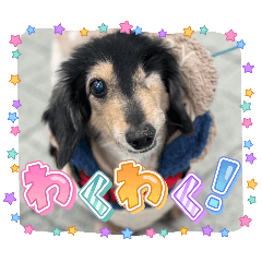 yuka_20251114070615