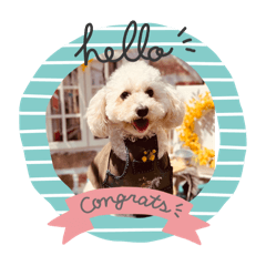 yukinko_20251114075124