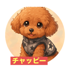 matsu_20251113222847