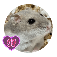 mochi_20251113223607