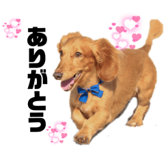 sakura_20251114110047