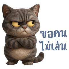 เหมียวเทาอ้วนตัวตึง