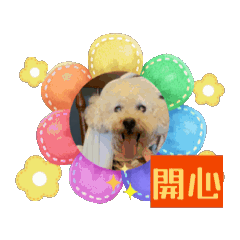 摳鼻老baby的日常用圖