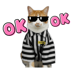 Cherry_20251114015353