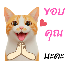 CAT LOVELY_20251113234719