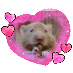 minnie_20251114065716