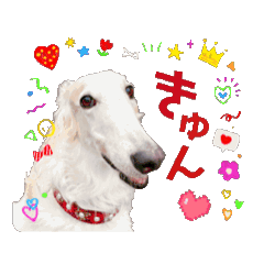 momolove._20251114000600