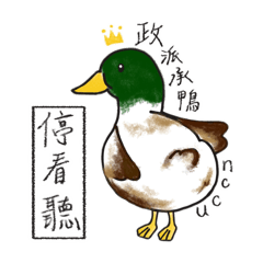 NCCU 達賢鴨鴨，安全到家