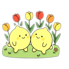 punk_1114_20251113195243