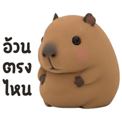 น้อนคาปิ :3