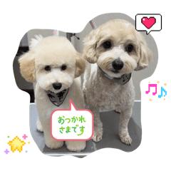 yuka_20251114131442