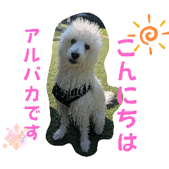 yuka_20251113201142