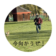 HARUNA_20251113200347