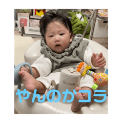 aopapa_20251113174539