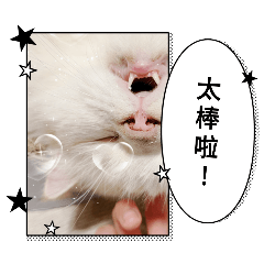 可可愛愛貼圖❣️