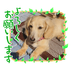 okamotoeikichi_20251114145431