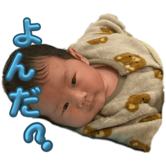 sakura_20251114151226