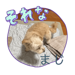 NAOberry_20251114192713