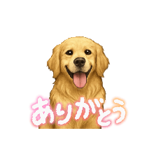 わんこの癒し