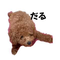 Ootamako_20251114204558