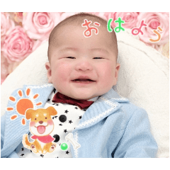 siromaru_20251114201408