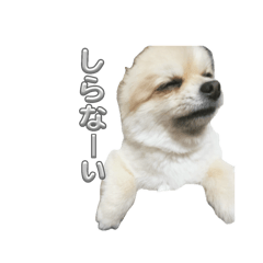 misaki_20251114224104