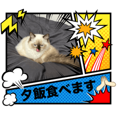 Jenny_20251114235345