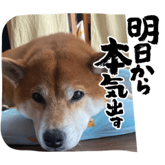 TAKECHI MAMI_20251115101416