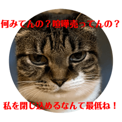 hanasora_20251114220500