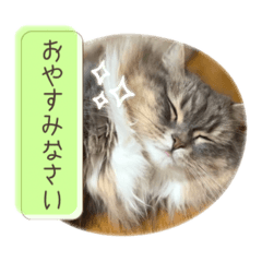 marina_20251114221219