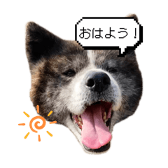 CHIKUWA_20251114220123