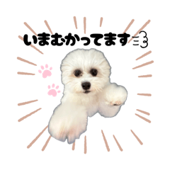 natsumi_20251115081023