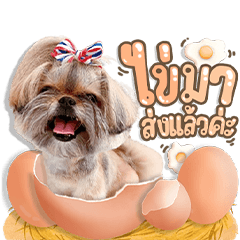 Khongkwan Fresh Eggs