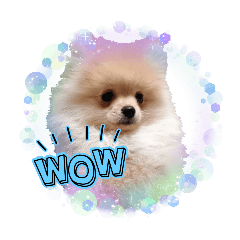 happy_20251115093149