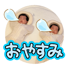 shiho_20251115002115