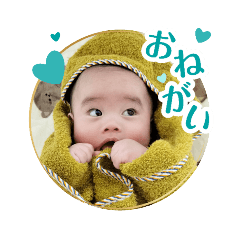 Hochan_20251115041525