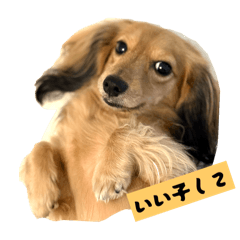 Bella_20251115085549