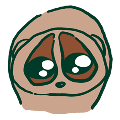 Slow Loris JUNI