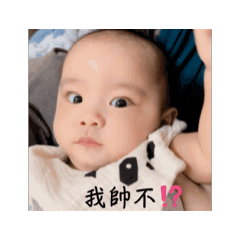 Wei wei wei表情包