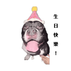 萌猛公主專屬<3