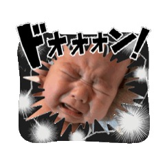 kaikaimama_20251115131922