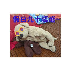 妮巴狗的生活實況