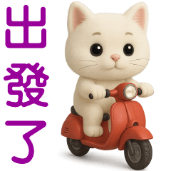 可愛白貓❤️日常實用貼圖