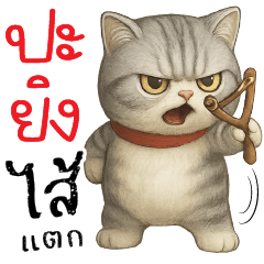 เดี๋ยวปะยิง ไส้แตกกกก!