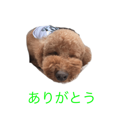 nanako_20251115125250