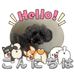 sorakko_20251115130714