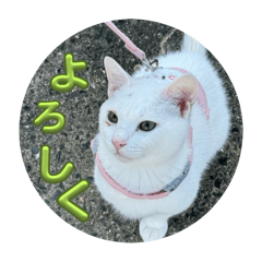 futtan_20251115132320