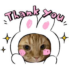 Uchinonekotachi-rai&rikko